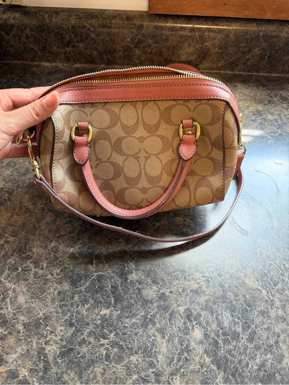 Coach Signature Crossbody Bag in Brown and Pink
